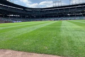 View of infield from warning track