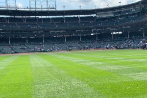 View toward infield from left field