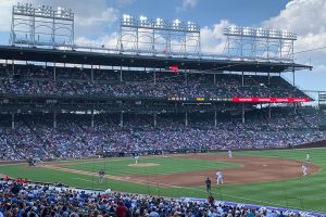 Cubs playing the field