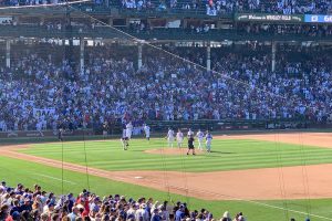 Cubs celebrate victory