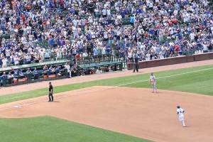 Cubs dugout and stands