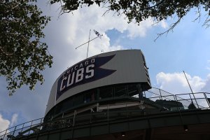 Tree branches above scoreboard